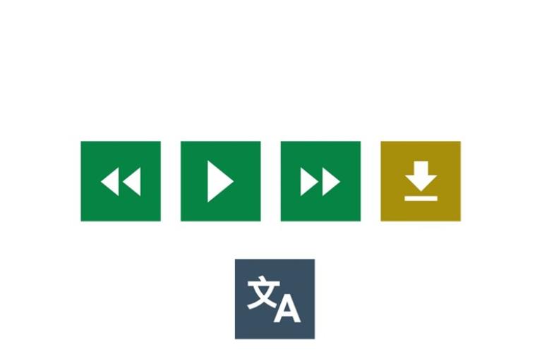 The five buttons used for text to speech and translation.