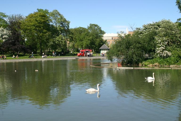 A large lake on a sunny day with swans as well as an ice cream truck beside it. 
