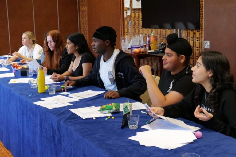 Youth Panel Assessments