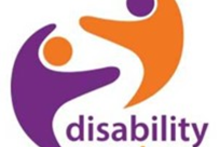 Disability North Logo