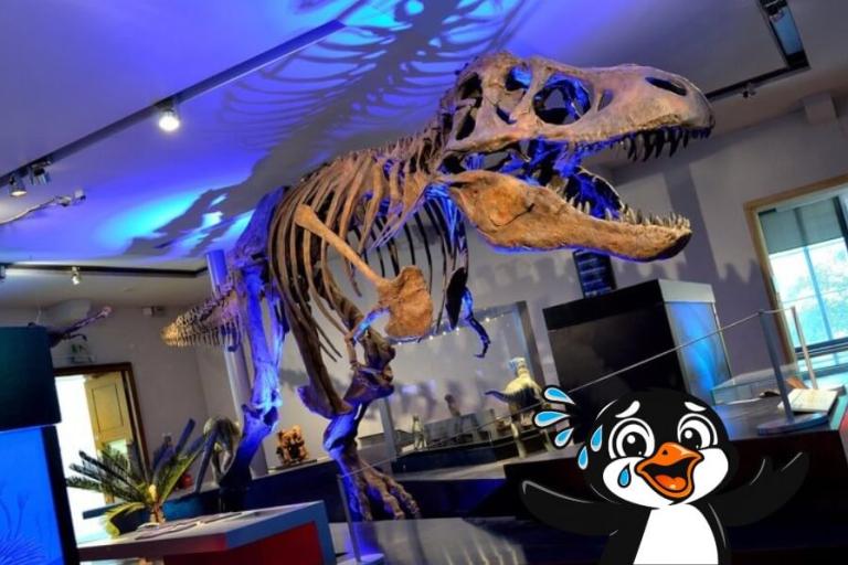 A large dinosaur skeleton in the middle of a large room. A cartoon penguin is running away and looking scared. 